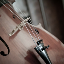 cello